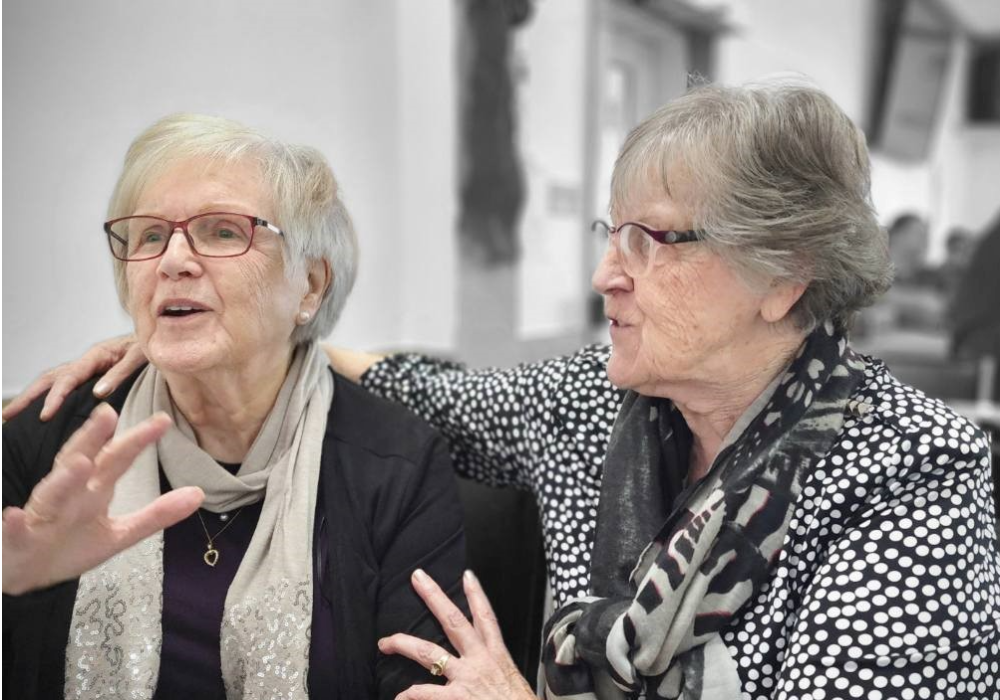 Visites d&rsquo;Amiti&eacute; 