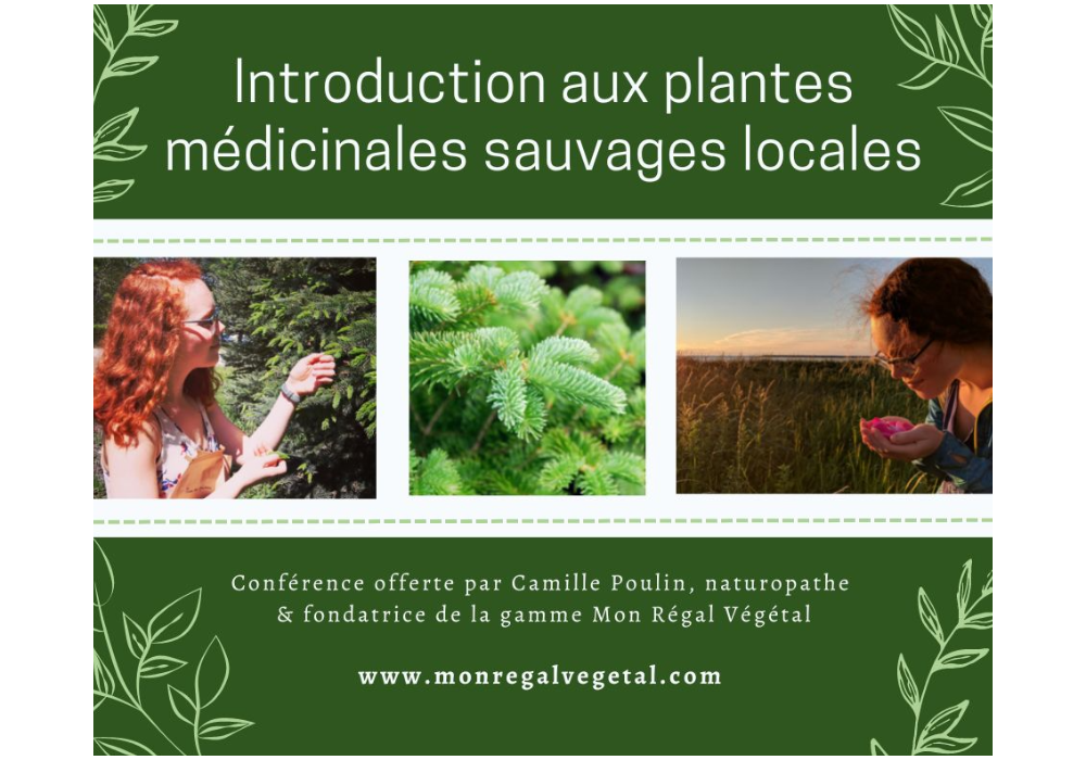 Ateliers/conf&eacute;rences - Les Jeudis et Vendredis Sant&eacute; avec Camille Poulin - CAB des Chic-Chocs